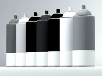 paint spray bottle