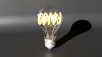 Light Bulb