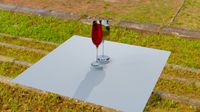 Wine Glass