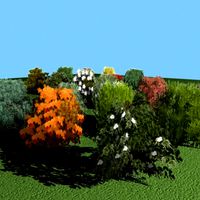 18 bushes