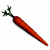 Carrot