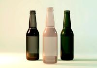 Beer Bottle 481033