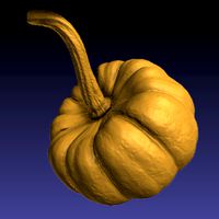 Pumpkin