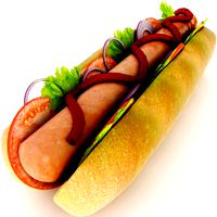Hot Dog