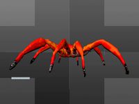little spider