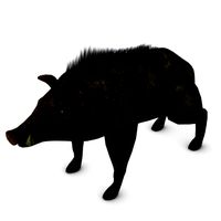 Low poly boar