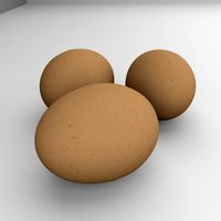 Eggs