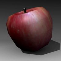 apple1 3ds+text