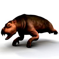 Desmostylia Pose 1