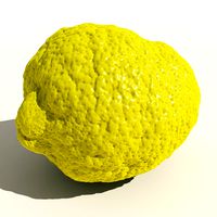 Lemon - 3D scan