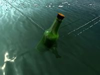 Wine Bottle