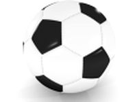 Soccer Ball 3D Model