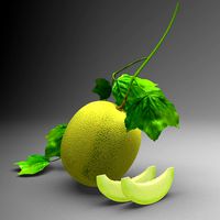 Honey Dew