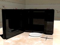 Microwave Oven