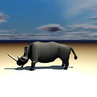 Rhino