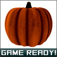 Autumn Pumpkin #8