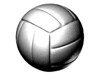 VolleyBall