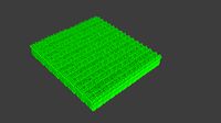 Grass