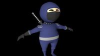 Ninja