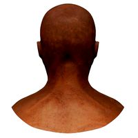 Male Bust