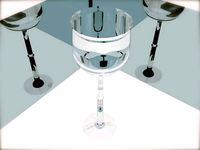 Wine Glass