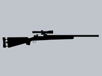 remington 700.max