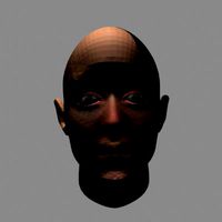 head