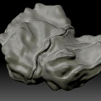 Rock/Asteroid