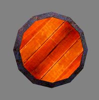 Warrior Shield