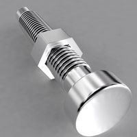 Screw Bolt