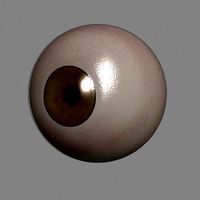 Basic Eyes