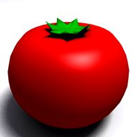 Tomato