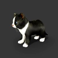 Rigged Kitten (Fur)