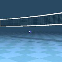 volleyball net
