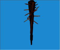 Bludgeon Weapons