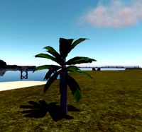 Small palmtree Max 2010