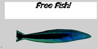 Free Fish