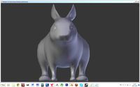 rabbit