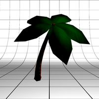 Palm