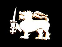 lion