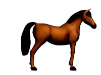Lopoly-horse2013
