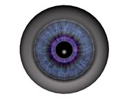 Eye