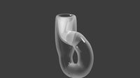 Klein Bottle