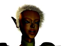 Viola_MerchantModelVersion