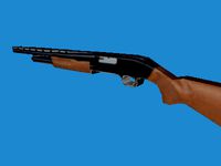 fusil.3ds