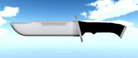Combat Knife