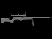 Sniper Rifle
