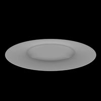 Plate