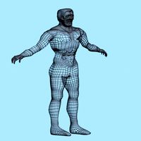 model knight a.max