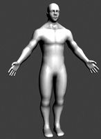 Human male full body
